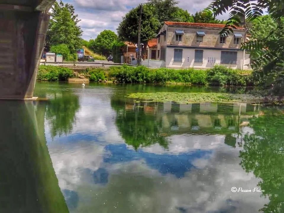 Le paysage de la Sèvre depuis les berges