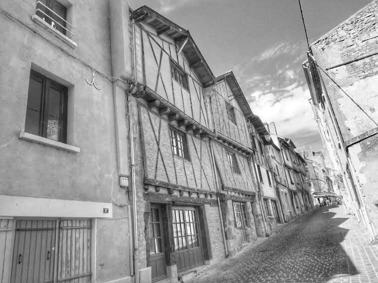 La Cité libre du Vieux Thouars — vue 7