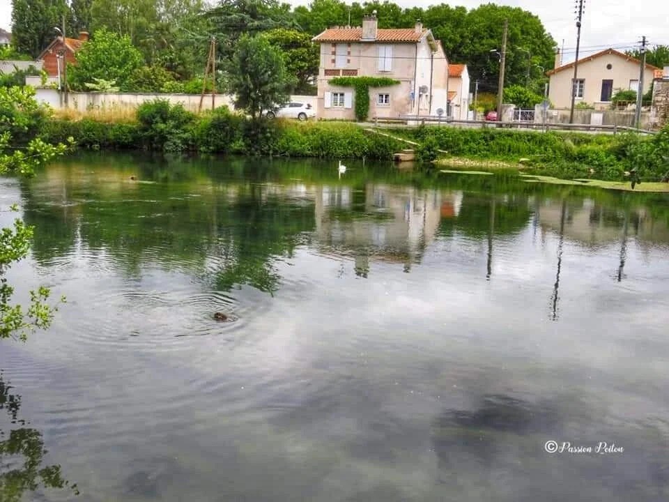 Maisons et reflets au bord de la Sèvre Niortaise