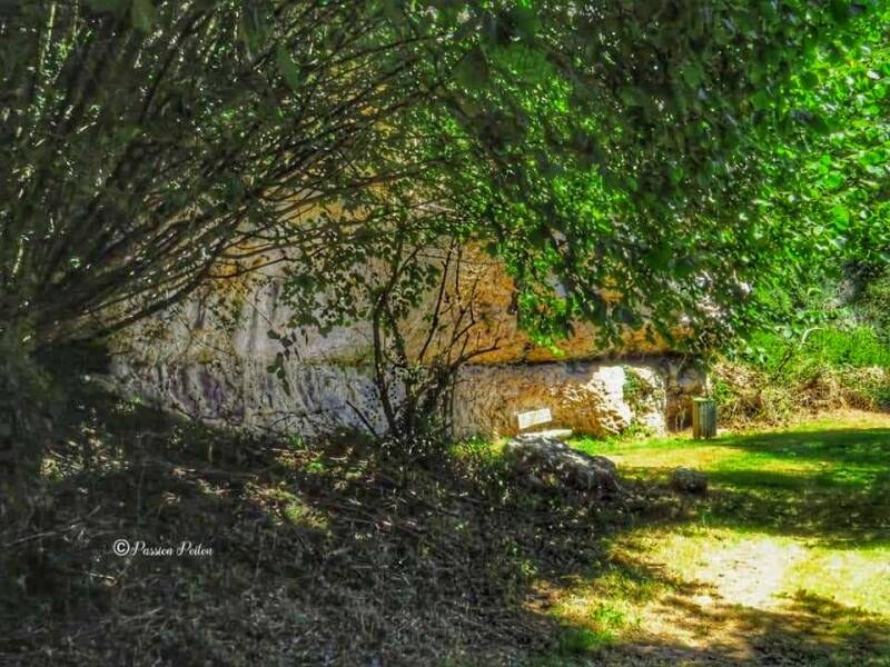 Les abords boisés au pied de la falaise — photographie d’archives