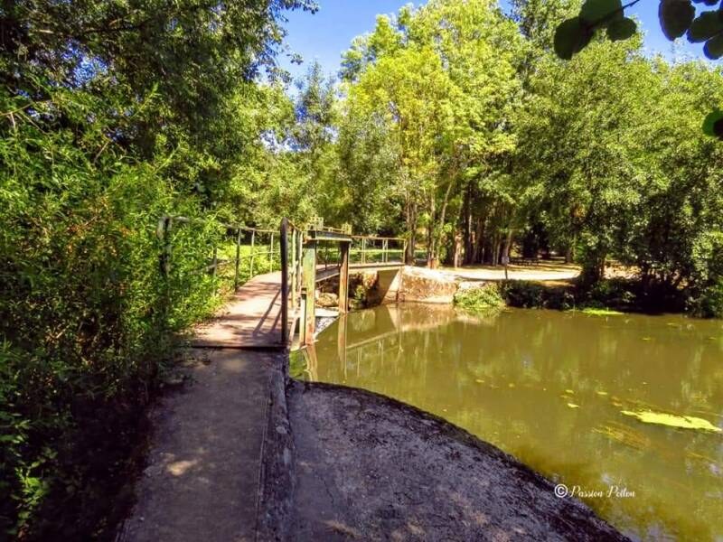 Un passage aménagé au bord de l’eau — photographie d’archives