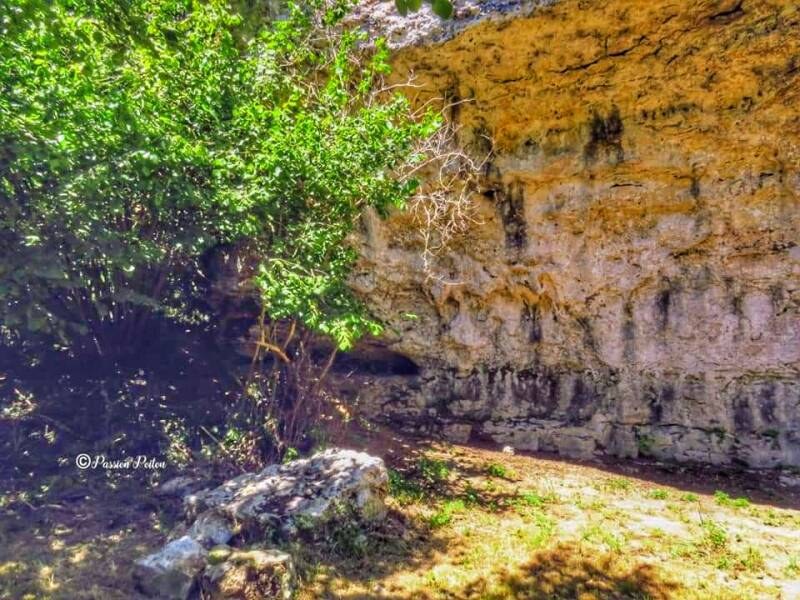 Cavité et végétation sur le site du Chaffaud — photographie d’archives