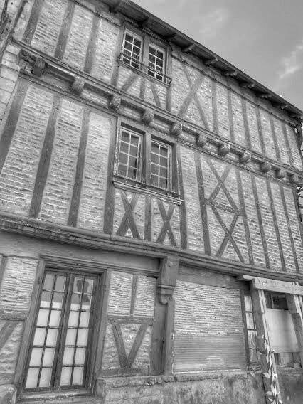 La Cité libre du Vieux Thouars — vue 11