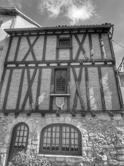 La Cité libre du Vieux Thouars — vue 5