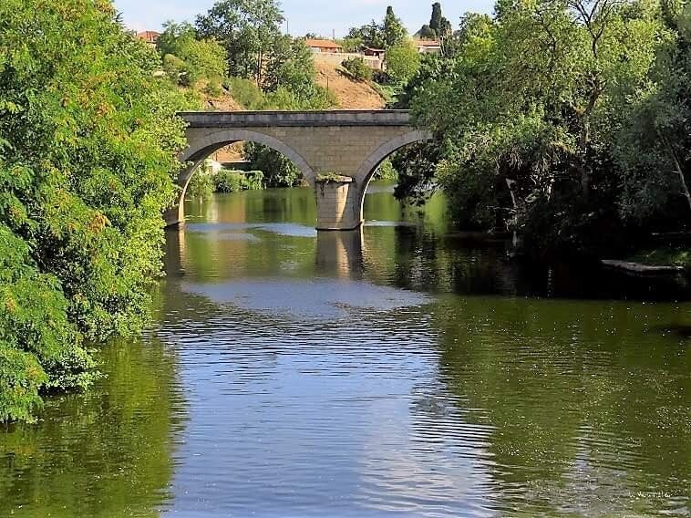 Le Thouet, les promenades et le canoë — vue 17