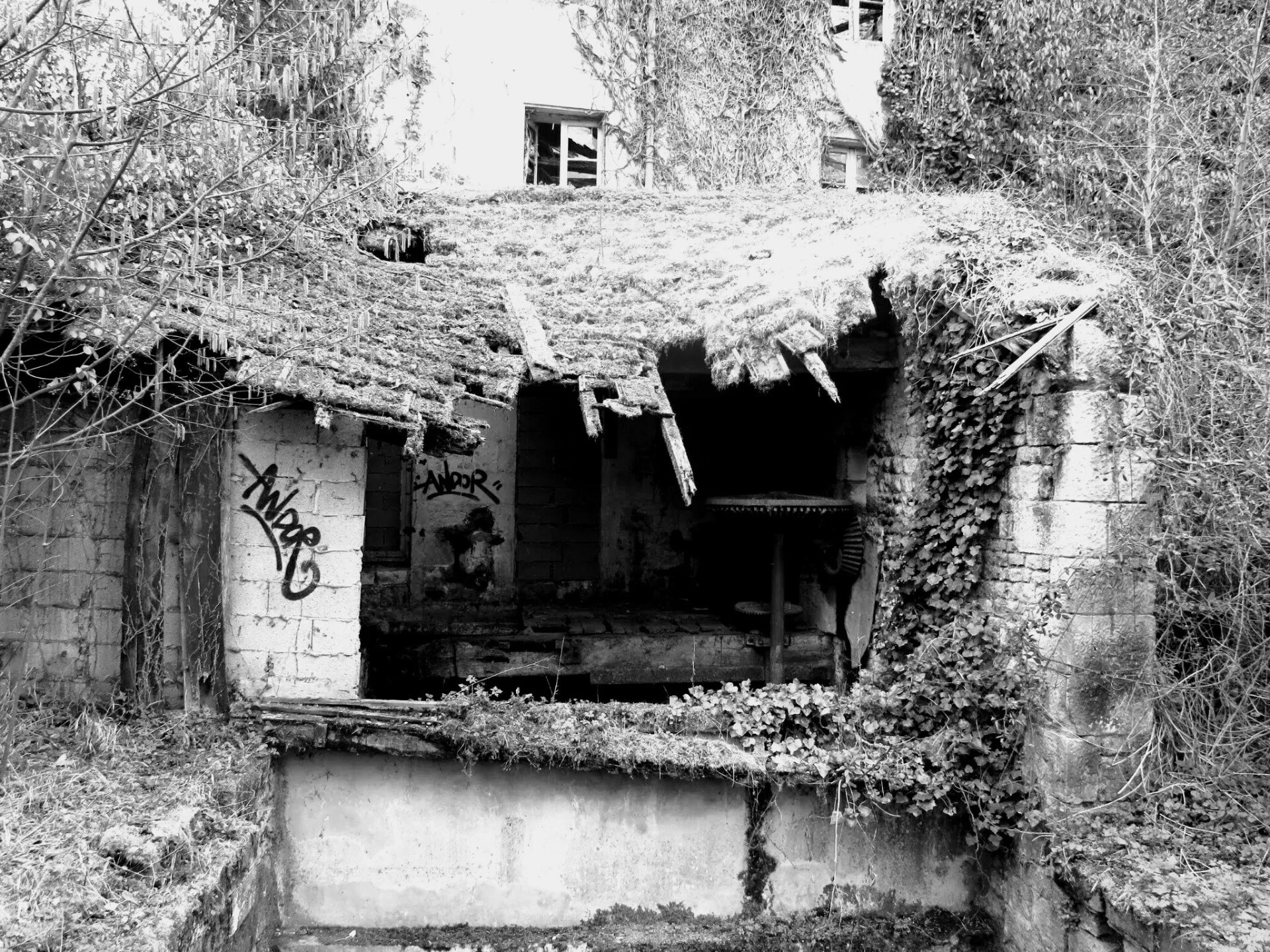 Un bâtiment ancien ouvert sur la végétation · photographie en noir et blanc