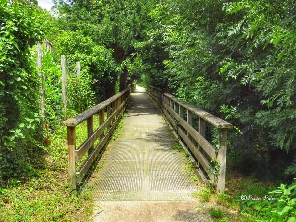 Une passerelle sur le chemin de promenade